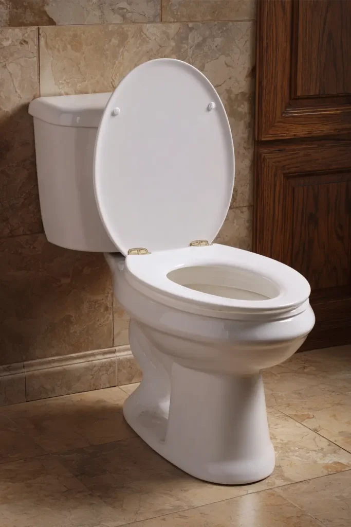 15. Toilet Seat Upgrade for Clean Finis