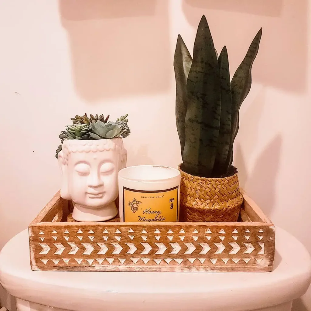 6. Bring in One Living Plant That Loves Humidity